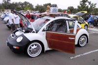 BEETLE (50)